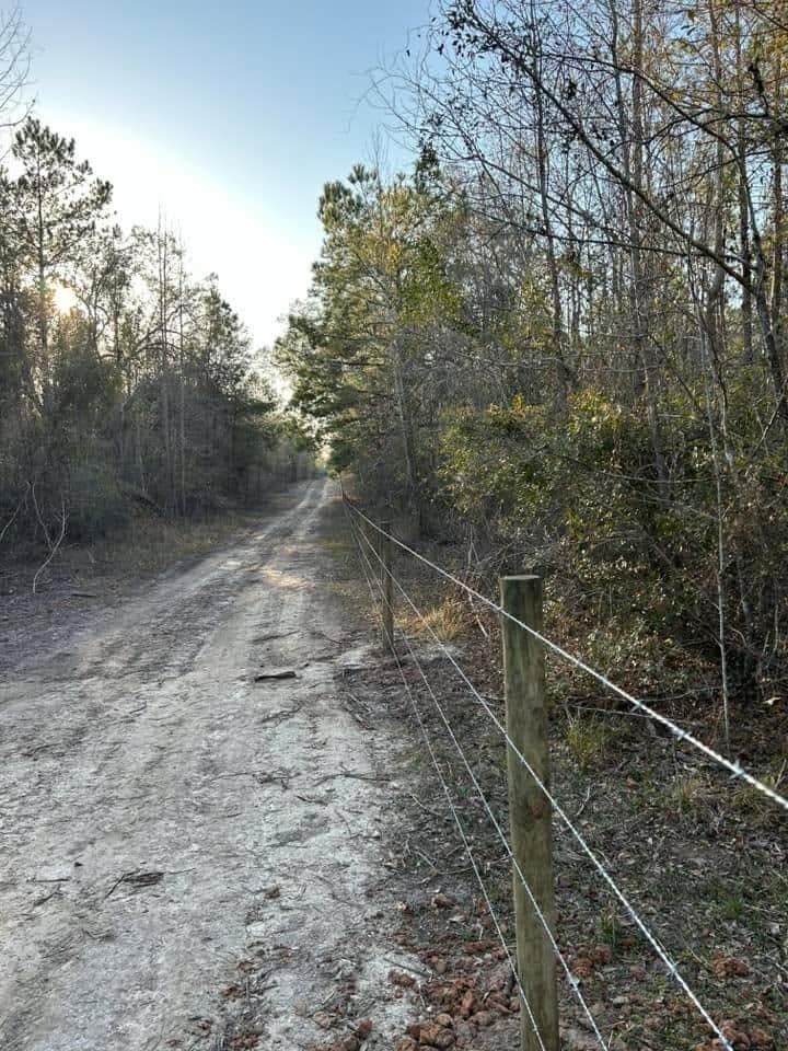 Dirt road lined with a fence in a wooded area during daytime. Natural landscape scene.