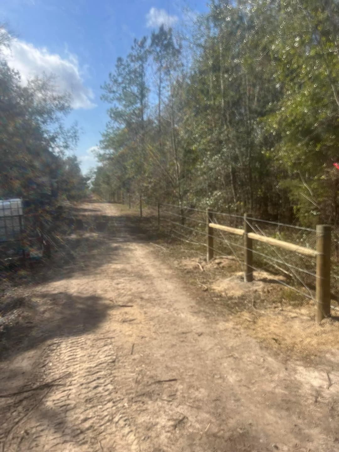 Dirt pathway lined with trees and a wooden fence under a blue sky.