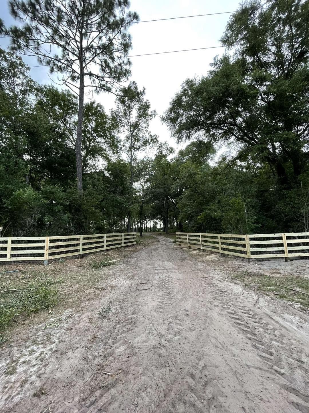Dirt path through wooded area with wooden fences on either side, under overcast sky.