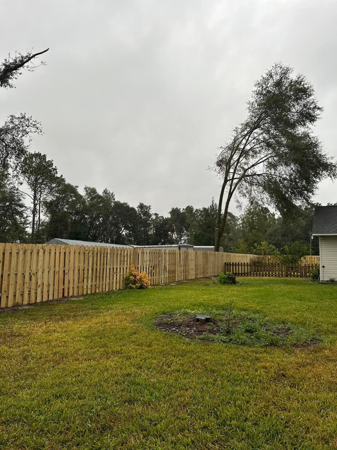 Backyard view with wooden fence, overcast sky, and trees in a rural setting.