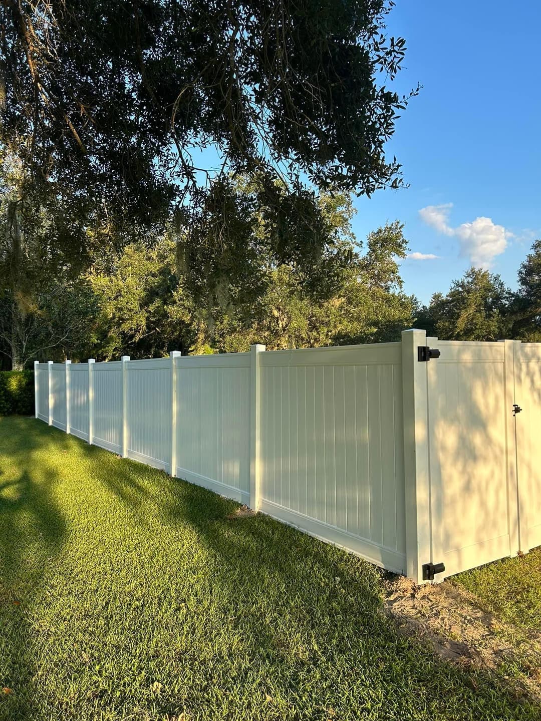 Vinyl privacy fence in a sunny backyard with trees and blue sky.