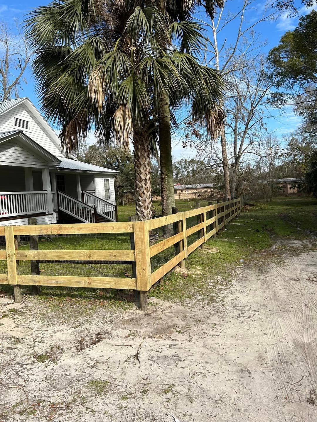 House with palm trees and wooden fence in a sunny outdoor setting. Green grass and sandy path.