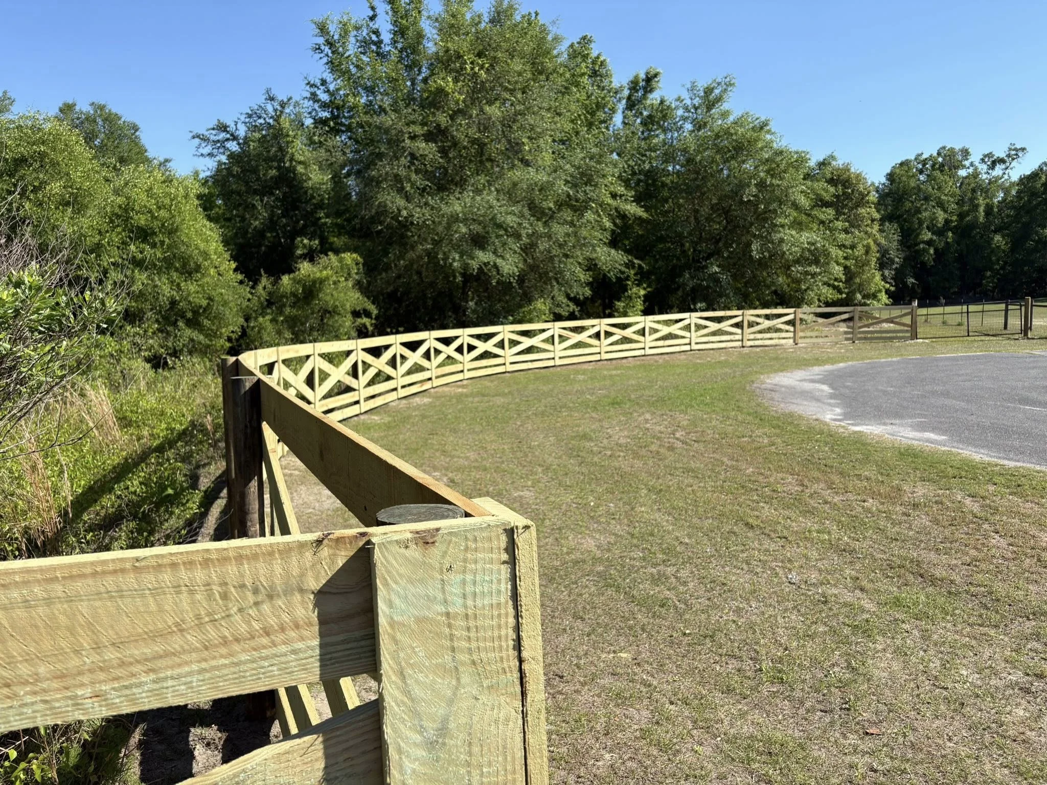 Farm field fence along a North Florida pasture